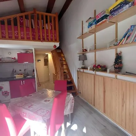 Apartment Duplex Centre Station Vallee Blanche 2